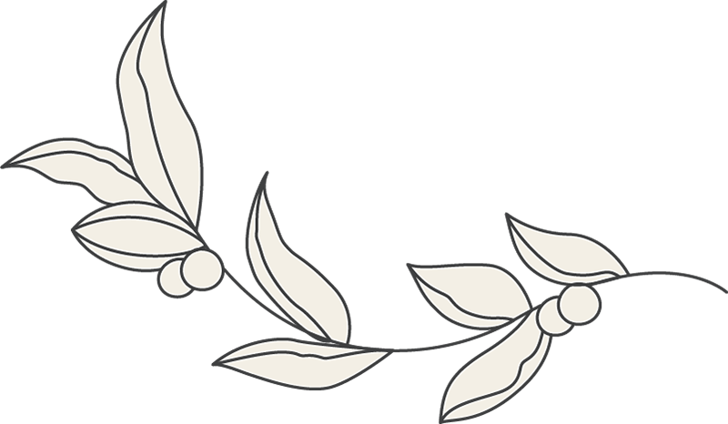 beauty-esthetician-44